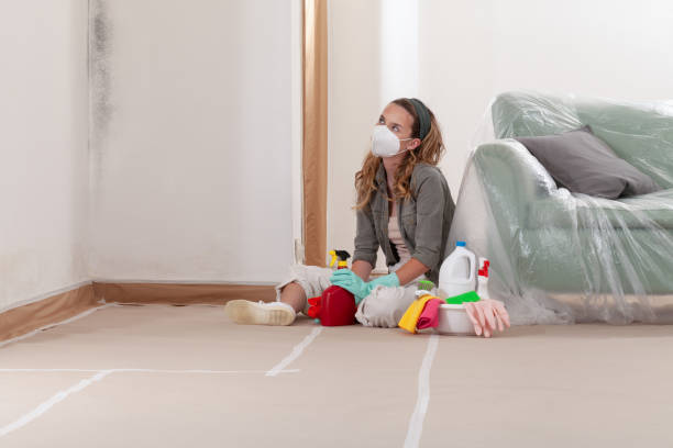 Reliable Mold Cleanup contractor in Blain, PA by WQB Mold Removal